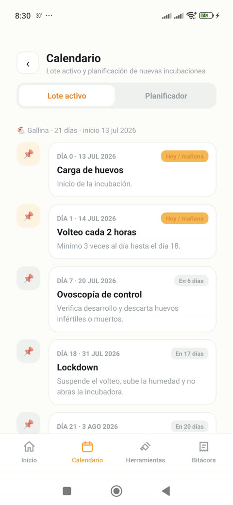 Calendario con la línea de tiempo de la incubación